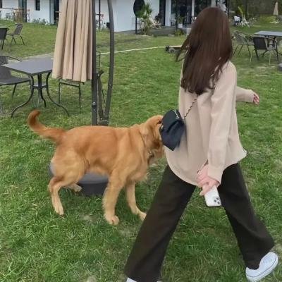 爱我给我一个家